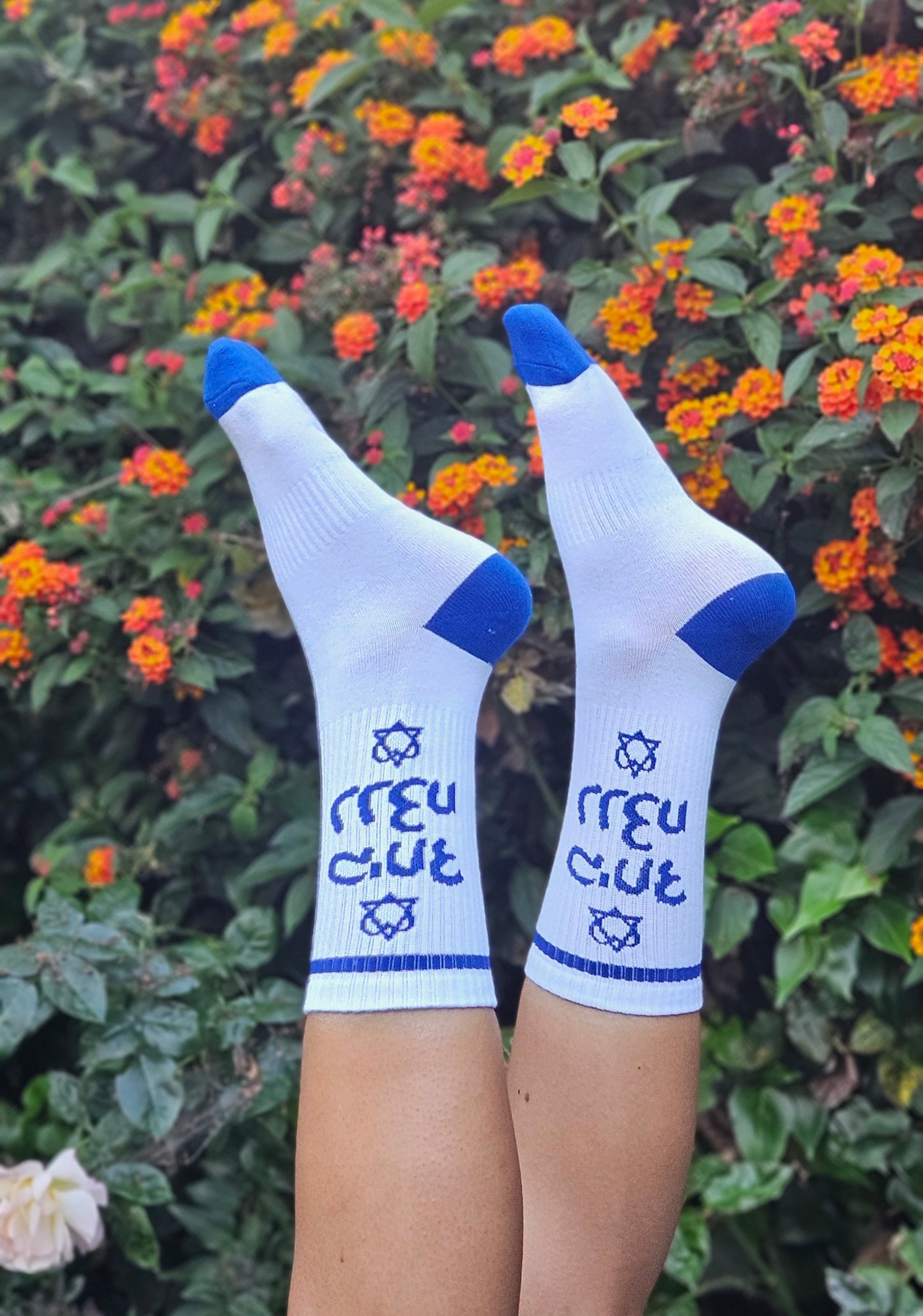 [Limited Edition] TOGETHER WE WILL WIN Socks